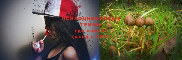 мескалин Кукмор