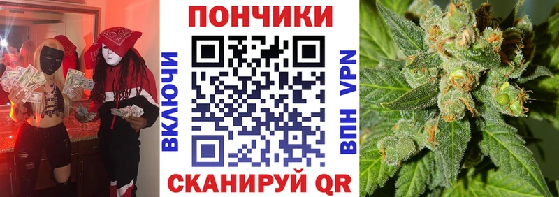Конопля сатива  blacksprut как войти  Мещовск 